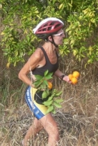 Stealing oranges from an orchard while biking across Portugal because 'they have Vitamin C'